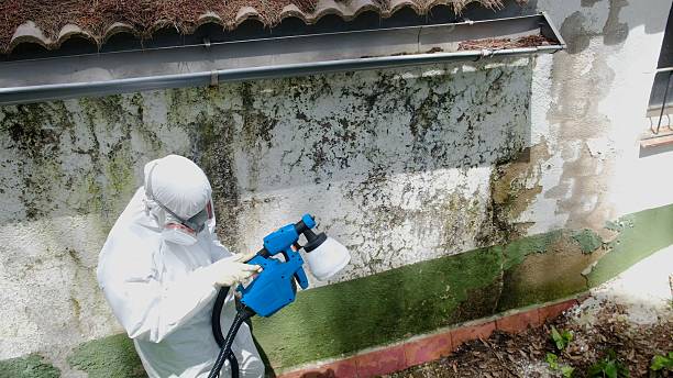 Trusted Mold Testing service in Upper Falls, MD - Cheap Mold Removal
